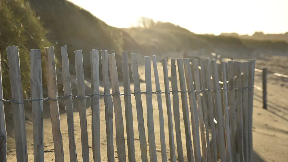 Rollzaun/Staketenzaun aus Robinienholz