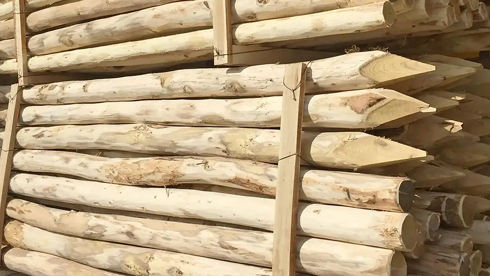 Rundpfähle aus Robinienholz