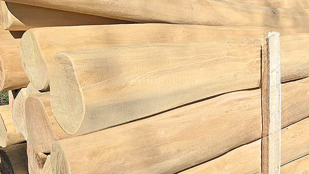 Entsplintetes Rundholz in Spielplatzqualität