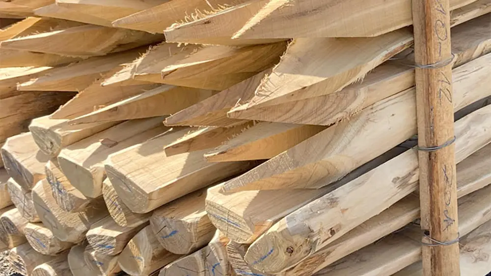 Halbrundpfähle aus Robinie