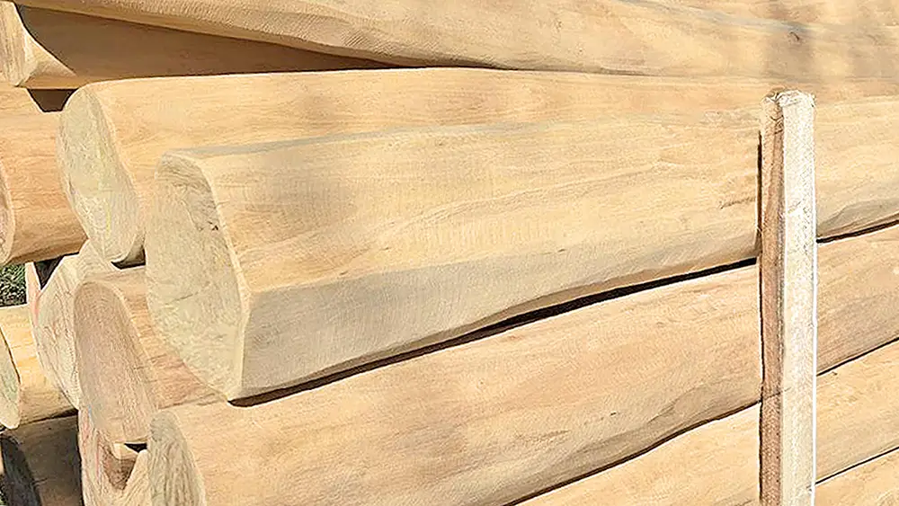 Robinie Rundholz entsplintet