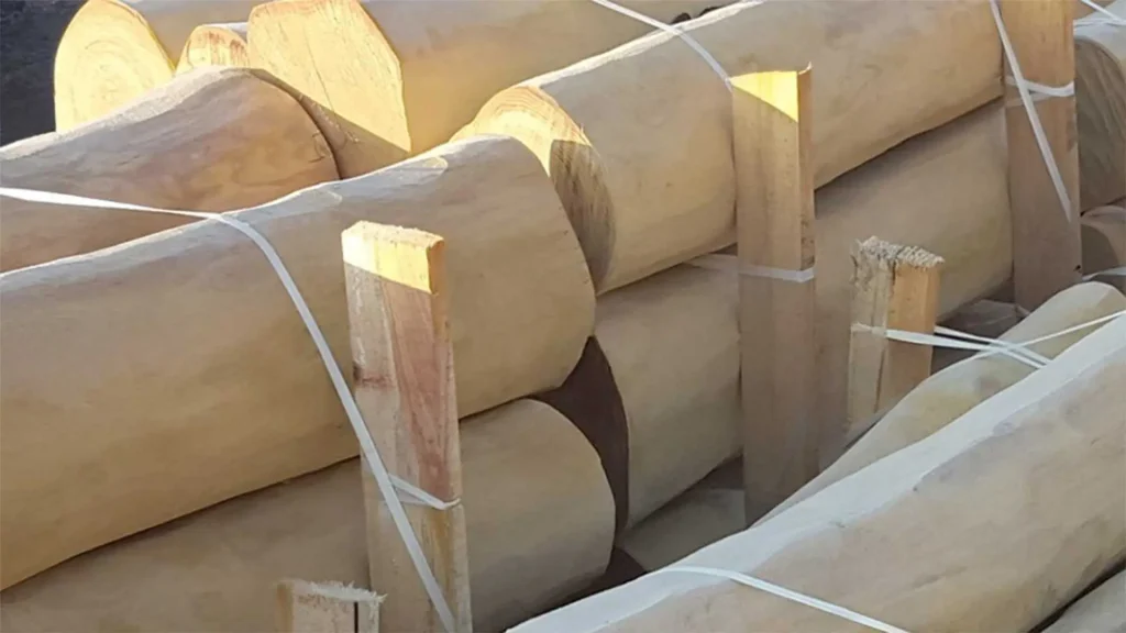 Q Timber Robinienholz Natur Palisaden Rundholz entsplintet