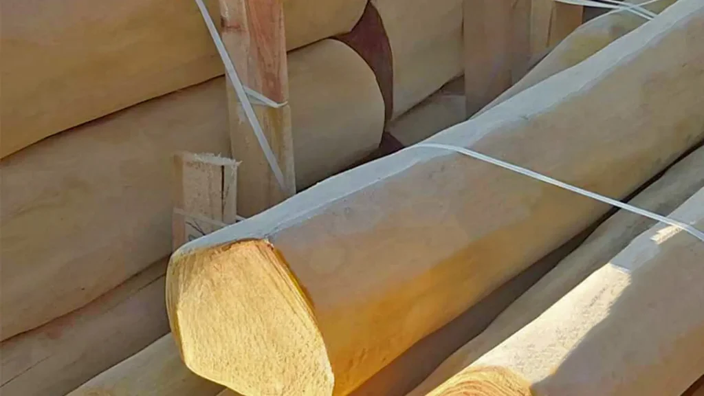 Rundholz, Naturpalisaden aus Robinie