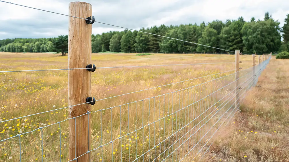 Q Timber Robinienholz Weidezaun mit Robinienpfaehlen Robinienpfosten