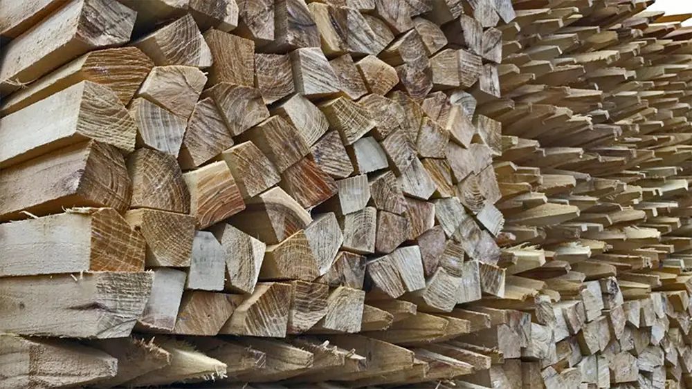 Q Timber Robinienholz gesaegte Weidepfaehle