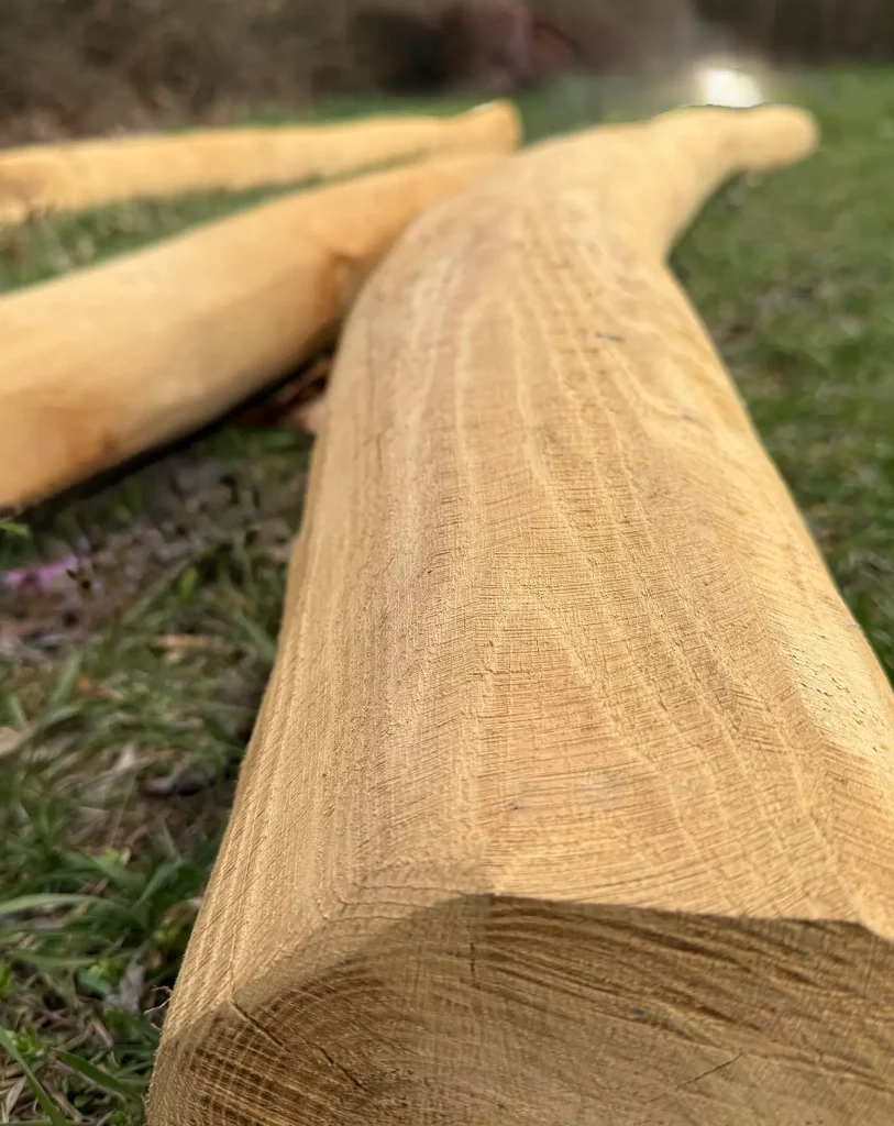 Q Timber Robinienrundholz Robinie Rundholz aus Robinie