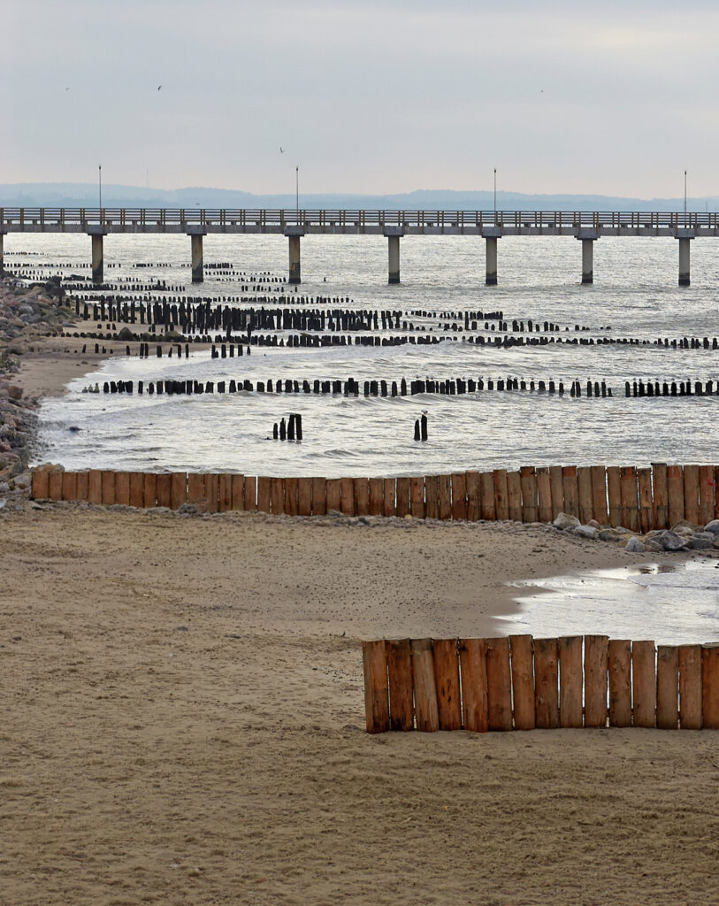 Robinienholz Wasserbau Kuestenschutz Q Timber