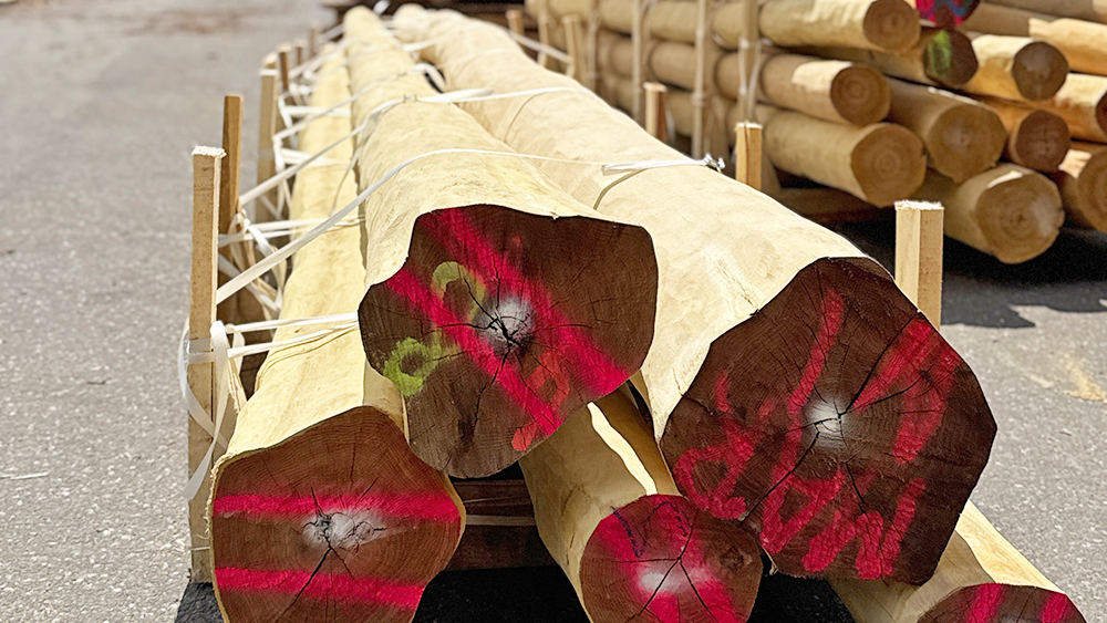 Q Timber Rundholz entsplintet aus Robinie