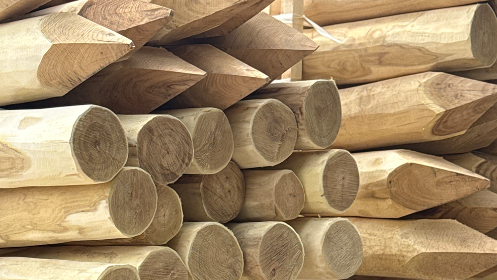 Q Timber Rundpfaehle aus Robinie