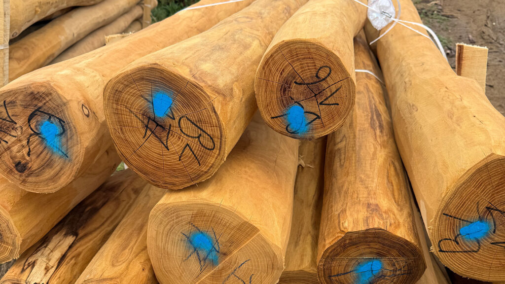 Q Timber rundholz entsplintet spielplatzqualitaet robinie stammware staemme